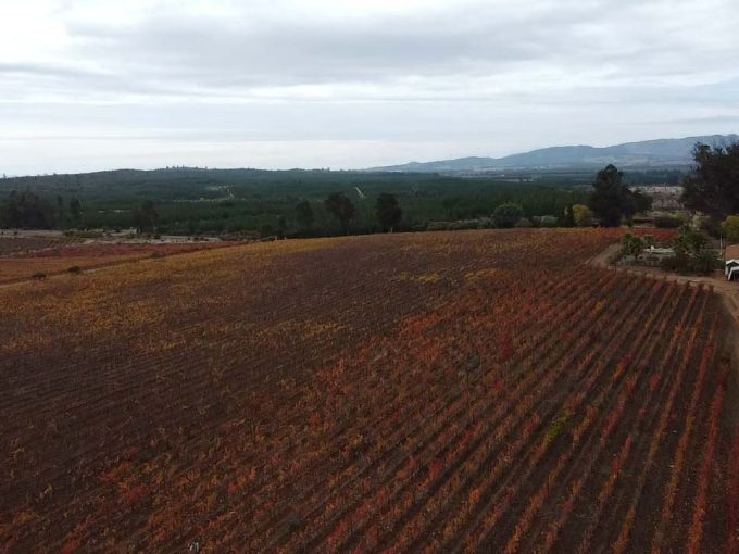 Cauquenes – Subdividido